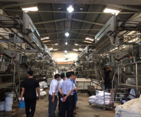 Tư vấn, đào tạo tại Công Ty Dệt may Thành Công