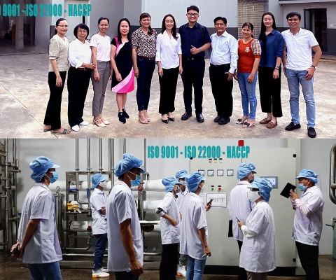 Tư vấn ISO 9001, ISO 22000, HACCP 